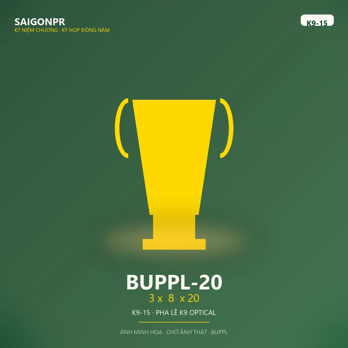 BUPPL-20 3 x  8  x 20 K9-15 — Pha lê K9 15ly