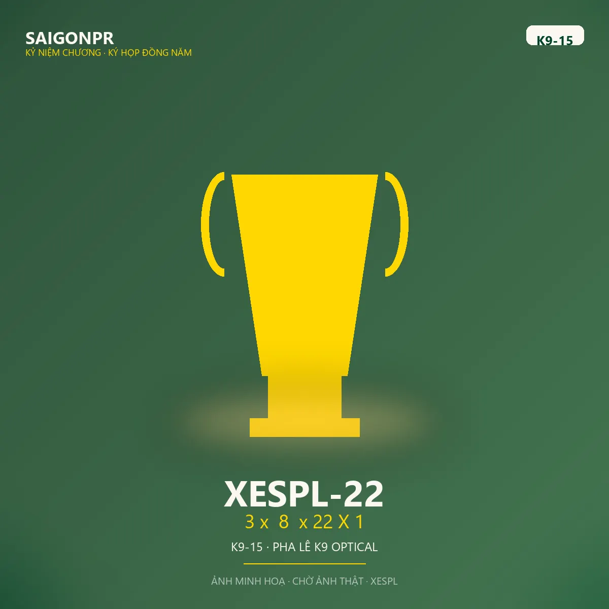 XESPL-22 3 x  8  x 22 X 1 K9-15 — Pha lê K9 15ly