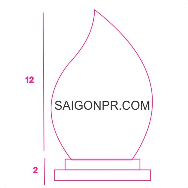 Kỷ niệm chương ngọn lửa KNC_NL_A