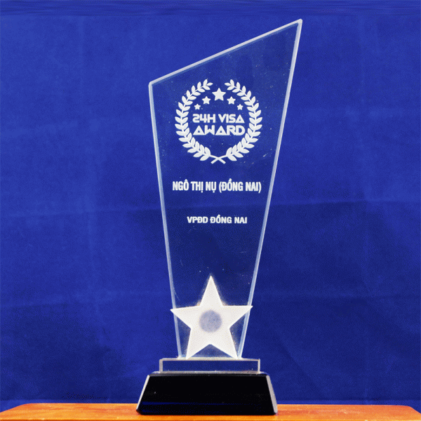 Kỷ niệm chương hình cúp KNC_HC_E